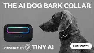 Kickstarter: HushPuppy, The World's First AI Dog Bark E-Collar