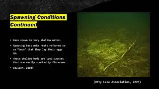 Biobits Video : The Effects of Fishing for Spawning Bass - James Marino