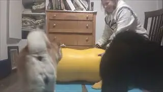 First fitbone work with Osha