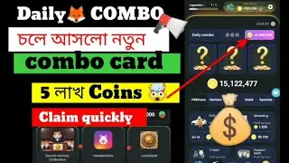 hamsta pilot daily combo | hamsta pilot new update