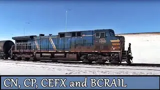 16 Canadian Trains In Alberta, Including CN CP CEFX and BCRAIL Railroad Action