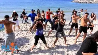 flash mob HAYA-Travel