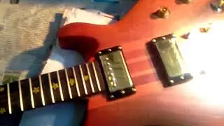 Seitzinger Custom Hand Engraved Guitar - NA300H #1