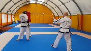 Yop - Tora yop chagi