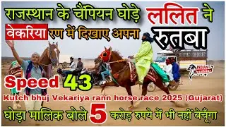 चैंपियन घोड़े ललित ने Kutch bhuj race 2025 में दिखाया अपना रुतबा दौड़ने की Speed है 43km