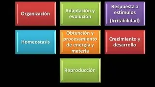 Características de los seres vivos