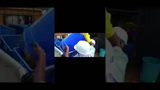 lspc video