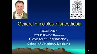 Basic Principles of Anesthesia