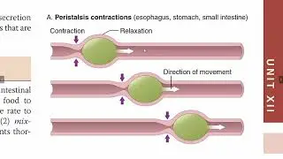 GIT movements | Mixing movements | Propulsive movements #GITphysiology | Guyton,Chap#63 | Part 8