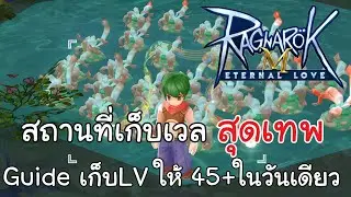 Ragnarok M Eternal love - Guide สถานที่เก็บเวลสุดเทพ lv45+ในวันเดียว #11
