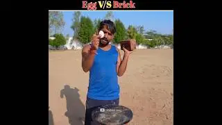 egg vs brick Experiment 🥚#shortsfeed #mrindeanhacker