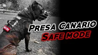 Безопасный режим Presa Canario
