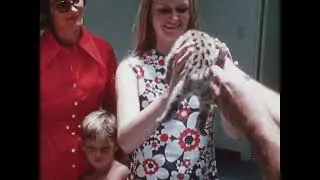 Profiles of Nature: Imprinting (1984) | The Bond Between Babies & Parents 🦢👶