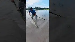 Real Village Fishing Skills by Expert Boys