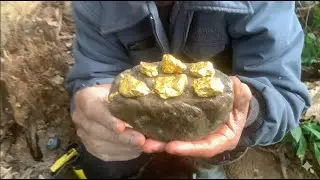 SHOCKING! Pure Gold Found Beneath a Rotten Pine Tree in Deep Forest