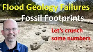 Flood Geology Failures:  Too Many Fossil Footprints for a Global Flood