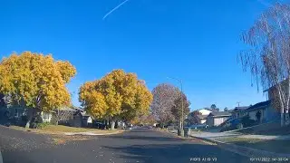 2022/11 Fall Color in Berryessa, North San Jose, CA