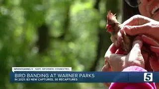 Researchers invite public to watch bird banding at Warner Park Nature Center