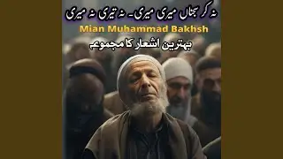 Na Kar Bandya Meri Meri Kalam Miyan Muhammad Baksh | Mian Muhammad Bakhsh Kalam #mianmuhammadbakhsh