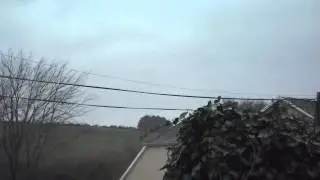 Birds Chasing Eachother