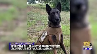 Colorado Springs police K9s receive new stab and bullet protective vests