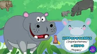 Starters wordlist - Animals (p1): Zoo