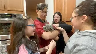 Возвращаем домой нашего щенка французского бульдога 🐶 | Видеоблог &laquo;Первый день дома&raquo; от 27.03.23