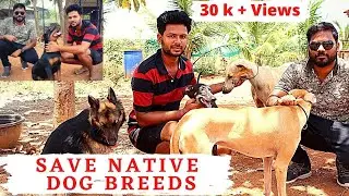 வேட்டை நாய்களை எப்படி பார்த்து வாங்குவது | Dogs Sales | Native Dogs Sales | EP 75