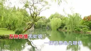 洞房悄悄静幽幽（越剧《盘妻索妻》选段）