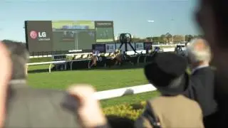 BOBS 2013 Racehorse Nomination