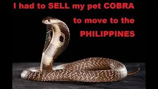 COBRA Coffee Run!