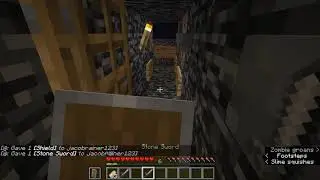 wave 3  - minecraft fightinge