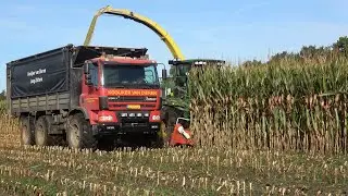 Mais hakselen met John Deere 7450 en 2 Ginaf X 3335 S vrachtwagens door Kooijker van Dieren (2021)