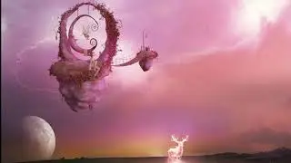 61 ~ Full Moon in Virgo ~  Ascension Star Codes of Light ~ EMBODIED CHANGE ~ Leap of Faith ~ Quantum