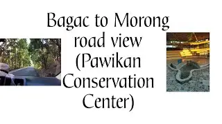 Bagac to Morong Road view I GEMS FLIGHT TV
