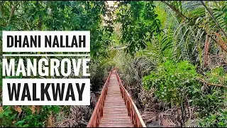 Dhani Nallah Mangrove walkway | Dhaninallah Beach | Rangat | Middle Andaman