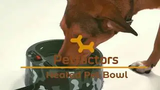 Outdoor Thermal Heated Water Bowl for Dogs and Cats | Petfactors