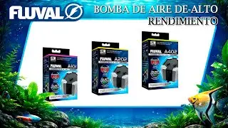 Bomba de Aire Fluval Comparativa COMPLETA. @fluval 