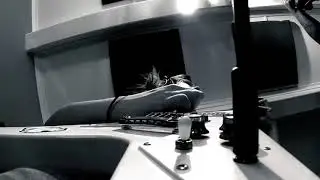MORTAL FEAR - capital punishment