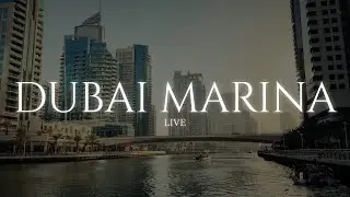 Dubai Sunset 🌙 LIVE | Sleep, Relax, Study | City Ambience (No Music)