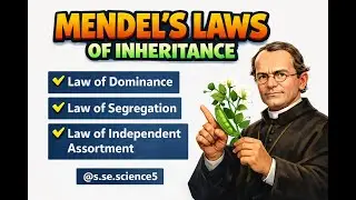 #Laws of inheritance l mendel's laws of inheritance l basic principles of inheritance l genetics l