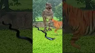 @Apna Mithila video#dinosaur #jurassicworld #dinosaur