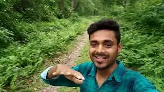 Gairkata Madhubani park#Moraghat forest, Jalpaiguri