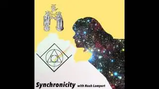 Raghu Markus - Episode 10 - Synchronicity Podcast with Noah Lampert