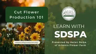 Cut Flower Production 101 with Helen Skiba