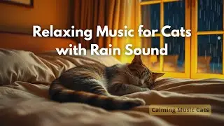 Relaxing Music for Cats with Rain Sounds | Deep Sleep, Anxiety Relief & Calm Atmosphere