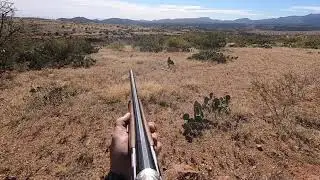 Highlights last year of Arizona Quail Season