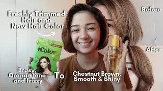 Hair Dye Shampoo, Icolor Plus Chestnut Brown and Bremod Moroccan Argan Oil