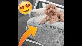 Furniture Protector Dog Bed - Calming Furniture Protector Pet Bed 2022