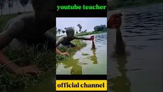 The Most Dangerous Fish in the World